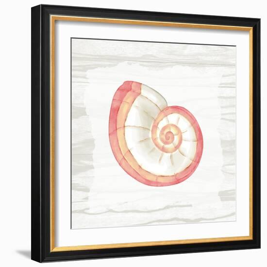 Coral Shells On Wood 1-Anne Bailey-Framed Art Print