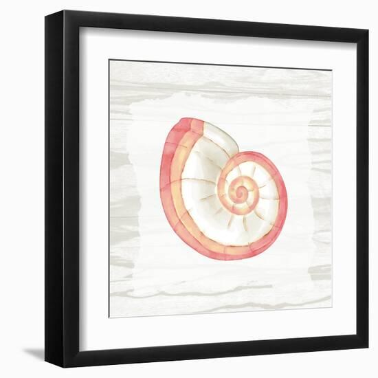 Coral Shells On Wood 1-Anne Bailey-Framed Art Print