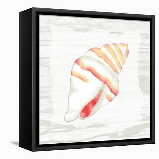 Coral Shells On Wood 2-Anne Bailey-Framed Stretched Canvas