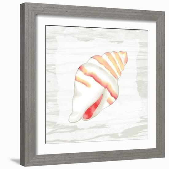 Coral Shells On Wood 2-Anne Bailey-Framed Art Print