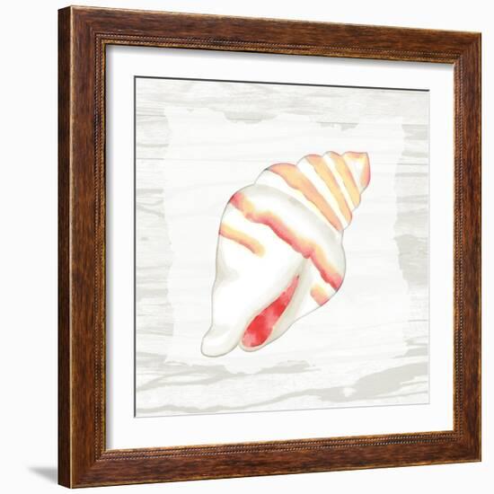 Coral Shells On Wood 2-Anne Bailey-Framed Art Print