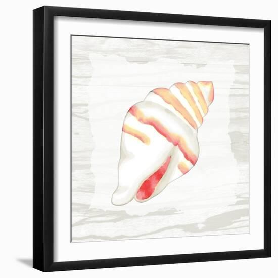 Coral Shells On Wood 2-Anne Bailey-Framed Art Print