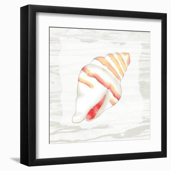 Coral Shells On Wood 2-Anne Bailey-Framed Art Print