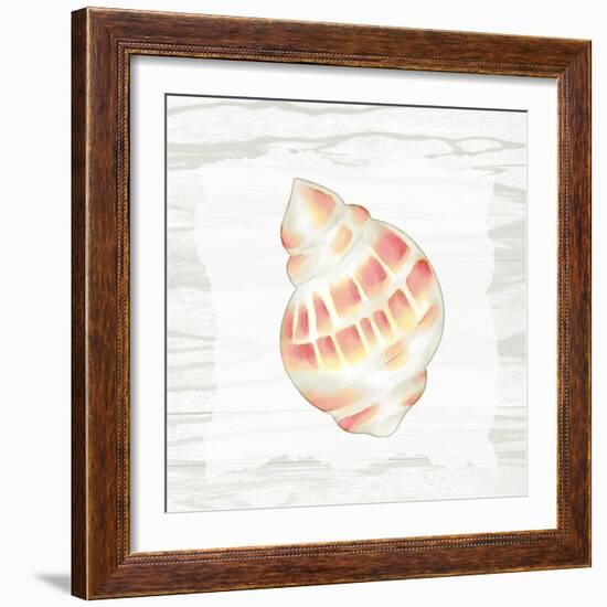 Coral Shells On Wood 3-Anne Bailey-Framed Art Print
