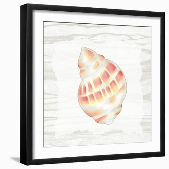 Coral Shells On Wood 3-Anne Bailey-Framed Art Print