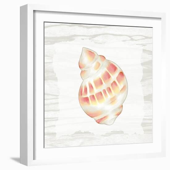 Coral Shells On Wood 3-Anne Bailey-Framed Art Print