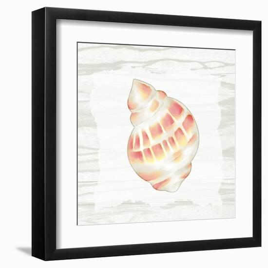 Coral Shells On Wood 3-Anne Bailey-Framed Art Print