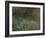 Coral Spawning-null-Framed Photographic Print