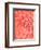 Coral Succulent-Urban Epiphany-Framed Photographic Print