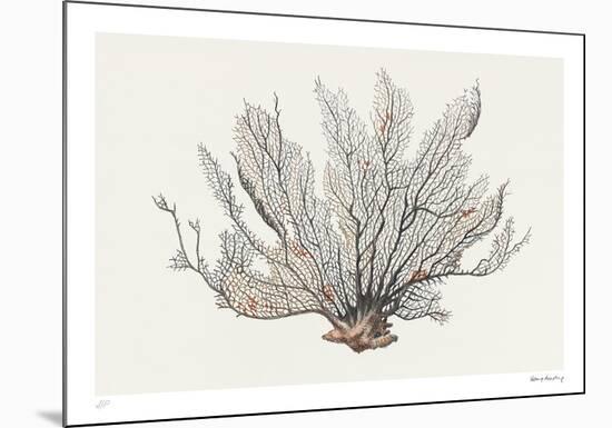 Coral - Sway-Hilary Armstrong-Mounted Limited Edition
