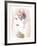 Coral-Katrien Soeffers-Framed Giclee Print