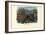 Corals, 1863-79-Raimundo Petraroja-Framed Giclee Print