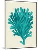 Corals Turquoise On Cream d-Fab Funky-Mounted Art Print