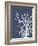 Corals White on Indigo Blue a-Fab Funky-Framed Art Print
