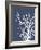 Corals White on Indigo Blue a-Fab Funky-Framed Art Print