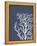 Corals White on Indigo Blue c-Fab Funky-Framed Stretched Canvas