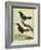 Coraya Wren and Black-Throated Antbird-Georges-Louis Buffon-Framed Giclee Print