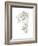 Corbel Sketch II-Ethan Harper-Framed Art Print