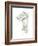 Corbel Sketch II-Ethan Harper-Framed Art Print