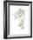 Corbel Sketch II-Ethan Harper-Framed Art Print