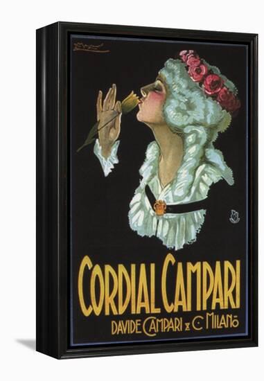 Cordial Campari (2)-null-Framed Premier Image Canvas