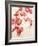 Cordial Petals-Kari Taylor-Framed Giclee Print