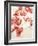 Cordial Petals-Kari Taylor-Framed Giclee Print