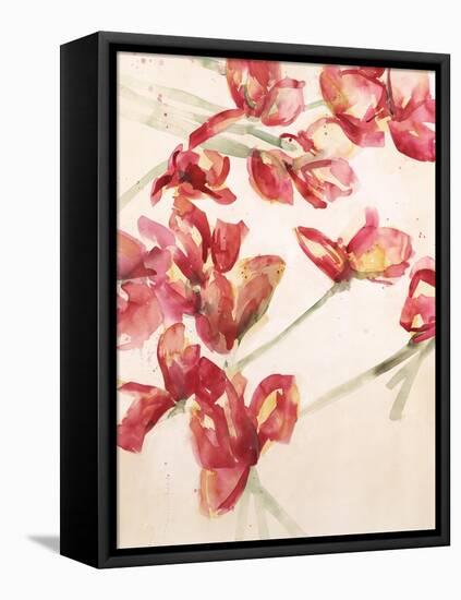 Cordial Petals-Kari Taylor-Framed Premier Image Canvas