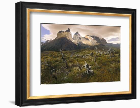 Cordillera Del Paine. Granite Monoliths. Torres Del Paine NP. Chile-Tom Norring-Framed Premium Photographic Print