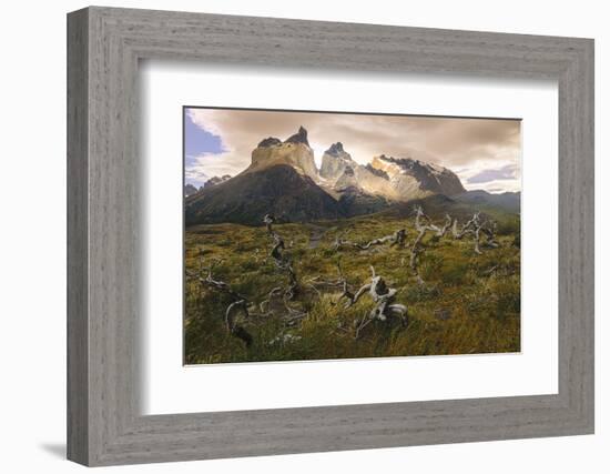 Cordillera Del Paine. Granite Monoliths. Torres Del Paine NP. Chile-Tom Norring-Framed Photographic Print