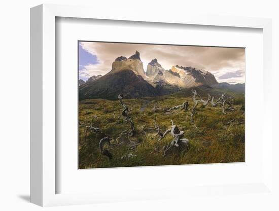 Cordillera Del Paine. Granite Monoliths. Torres Del Paine NP. Chile-Tom Norring-Framed Photographic Print