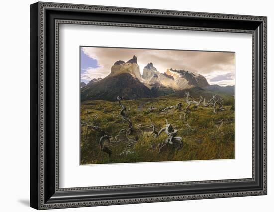 Cordillera Del Paine. Granite Monoliths. Torres Del Paine NP. Chile-Tom Norring-Framed Photographic Print