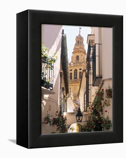 Cordoba, Andalucia, Spain-Peter Adams-Framed Premier Image Canvas