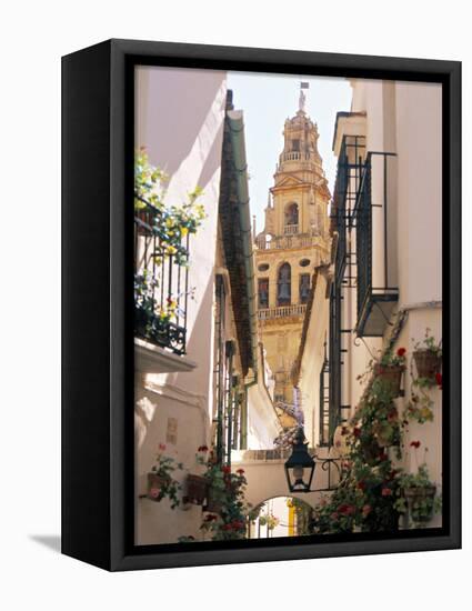 Cordoba, Andalucia, Spain-Peter Adams-Framed Premier Image Canvas