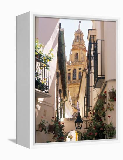 Cordoba, Andalucia, Spain-Peter Adams-Framed Premier Image Canvas