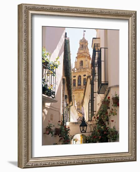 Cordoba, Andalucia, Spain-Peter Adams-Framed Photographic Print