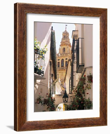 Cordoba, Andalucia, Spain-Peter Adams-Framed Photographic Print