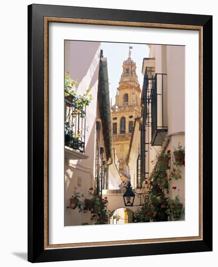 Cordoba, Andalucia, Spain-Peter Adams-Framed Photographic Print