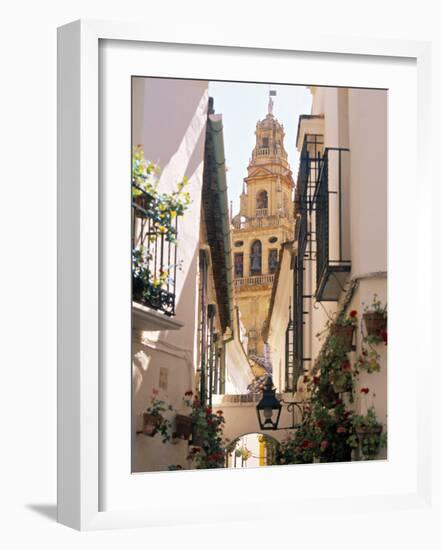 Cordoba, Andalucia, Spain-Peter Adams-Framed Photographic Print