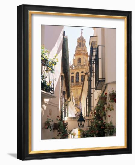 Cordoba, Andalucia, Spain-Peter Adams-Framed Photographic Print