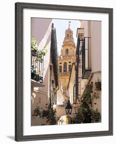 Cordoba, Andalucia, Spain-Peter Adams-Framed Photographic Print