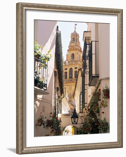 Cordoba, Andalucia, Spain-Peter Adams-Framed Photographic Print