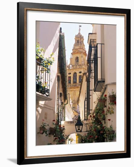 Cordoba, Andalucia, Spain-Peter Adams-Framed Photographic Print