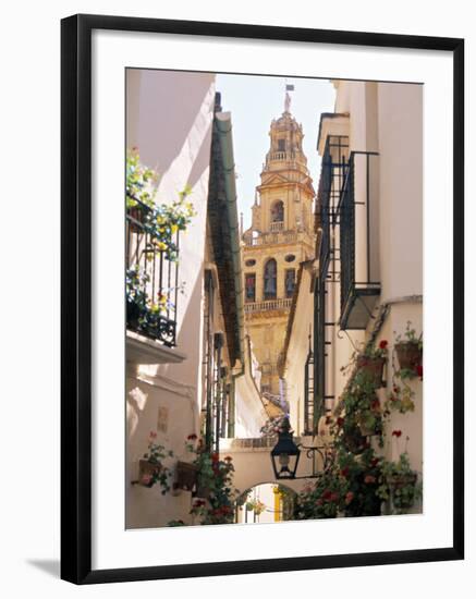 Cordoba, Andalucia, Spain-Peter Adams-Framed Photographic Print