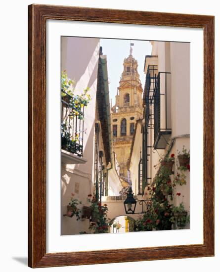 Cordoba, Andalucia, Spain-Peter Adams-Framed Photographic Print