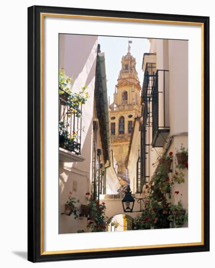 Cordoba, Andalucia, Spain-Peter Adams-Framed Photographic Print