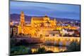 Premium Photographic Print