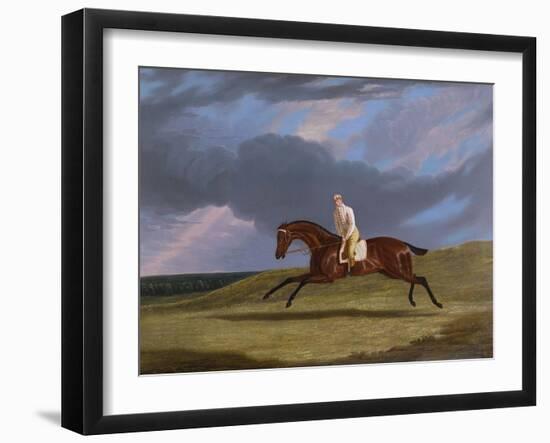 Corduroy', a Bay Racehorse, with a Jockey Up, Galloping on a Racecourse-John Frederick Herring I-Framed Giclee Print