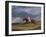 Corduroy', a Bay Racehorse, with a Jockey Up, Galloping on a Racecourse-John Frederick Herring I-Framed Giclee Print