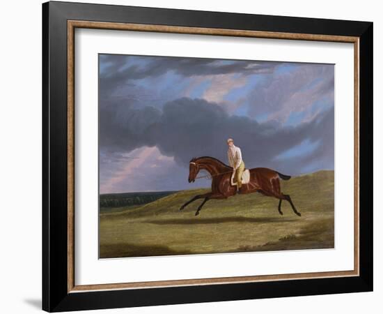 Corduroy', a Bay Racehorse, with a Jockey Up, Galloping on a Racecourse-John Frederick Herring I-Framed Giclee Print